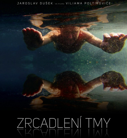 Zrcadlení tmy - Viliam Poltikovič