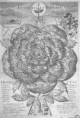 1668 - Mapa Čech v podobě růže