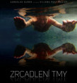 Zrcadlení tmy - Viliam Poltikovič